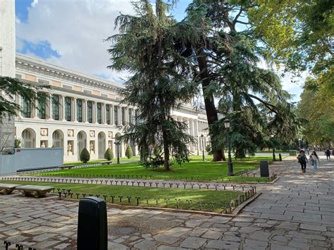 quartier prada expositions|museo del prado 1785.